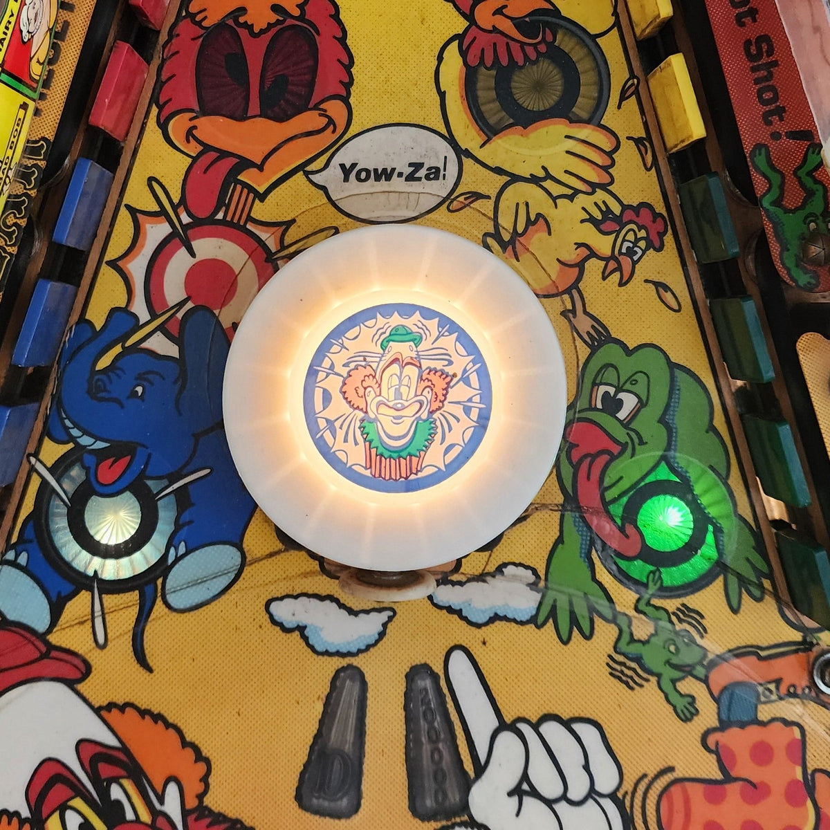 GoPOP80